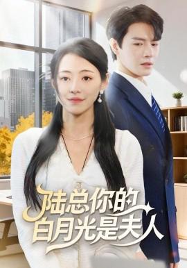 陆总你的白月光是夫人